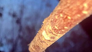 a man encounters a real witch and has passionate sex in the forest