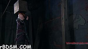 inflicting pleasure on that babe's slit in hardcore oral contest