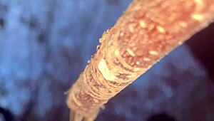 a man encounters a real witch and has passionate sex in the forest