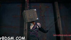 inflicting pleasure on that babe's slit in hardcore oral contest