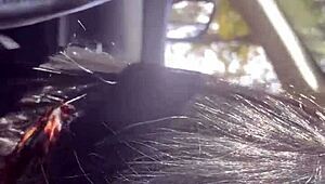 milfy calla needs ride, gets fucked