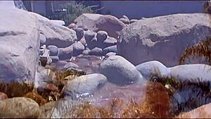 lena rides the cock outdoors before receiving a facial cumshot