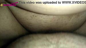 young bull fucks milf bbw