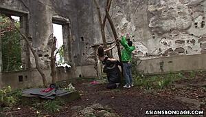 sayo hayakawa stuffed with toys 😈