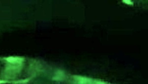 BBW SUCKING DICK FOR 20 MINUTES