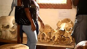 Huge cock fills mouth and ass in tourist park fuck for spectators