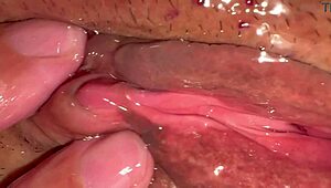 Amateur pink pussy 172 days after virginity loss!