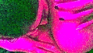 lesbians lick each other's wet pussies passionately