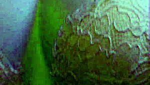 Lei Mi Ha Sedotto: Lavora Duro e Gioca Ancora Più Duro