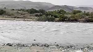 Public pissing in nature