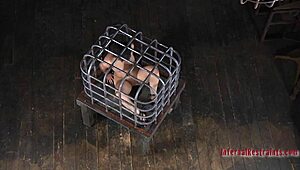 Fuck that beauty's tight holes hard!