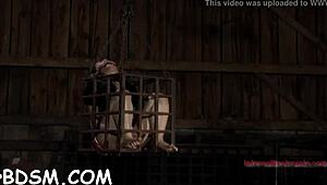 Intense Sadomasochism Domination And Rough Fucking Scenes.