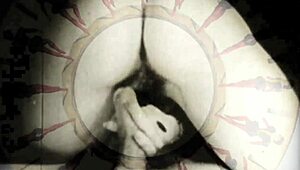 My Secret Life! Vintage Beaver Exposed