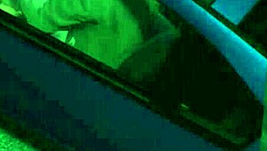 Gta 5 hooker caught in car sex