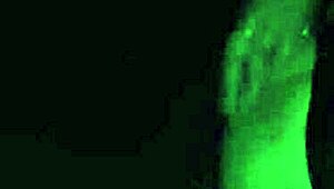 i couldn't hold back n fucked my best frend in the car after university, it went rong