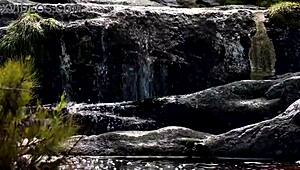 How Does April Dominate Rose?