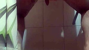 sumiso 54 9 3446 64-7686 detailed exploration