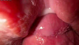 Stepsister's tight pussy gets fucked hard