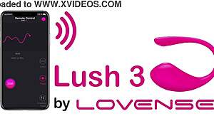 Some Girls Participating In Webcam Session