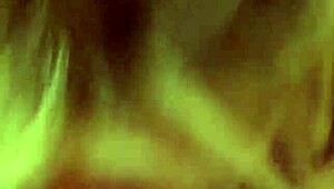 Alineflavio Update 155 September 26 2024