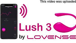 Some Girls Participating In Webcam Session