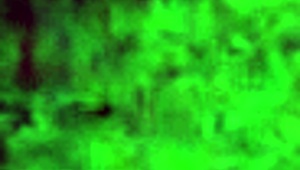 Mohana's Secret Bathing Ritual Caught On Hidden Cam, Part 2