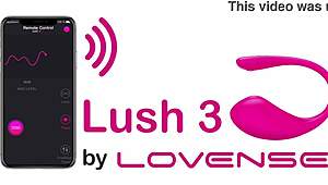 Some Girls Participating In Webcam Session