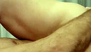 Alineflavio Update 155 September 26 2024