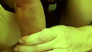 Alineflavio Update 155 September 26 2024