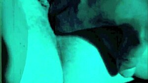 Dark lantern entertainment presents the dragonfly freddie