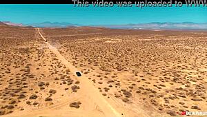 wasteland ultra black friday trailer - dp presents