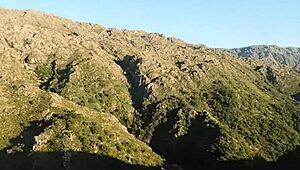 Friend Invites To Watch Prostitute Fucking