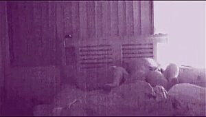 Loud moans from amateur couple's passionate fuck