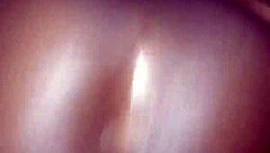 Does this big ass handle bbc?