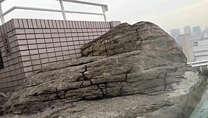 Young Japanese Busty Gravure Idol