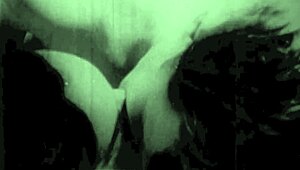 Dark lantern entertainment presents vintage porn classics