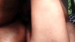 Nigarchrist - update 1537 - petal 20250629 154845 - jun 29 2025