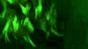 I Came To My Friends Birthday Party And Instead Of A Gift I Gave Her My Butt