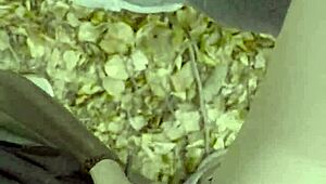 Blonde teen stops hiking for outdoor public park sex, getting creampied passionately