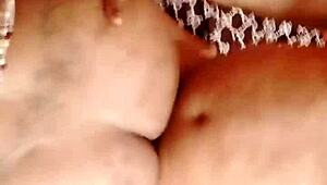 sundaydogood614 posts update 339 on july 22 2024