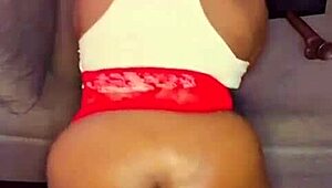 In NIGARCHRIST'S update 1514, PETAL appears on JUNE 24, 2025.