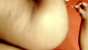 sundaydogood614 posts update 339 on july 22 2024