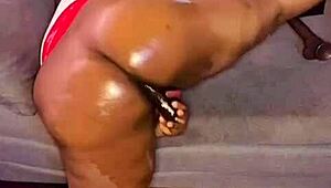 In NIGARCHRIST'S update 1514, PETAL appears on JUNE 24, 2025.