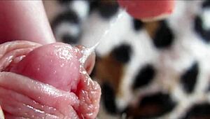 Amateur girl shows huge clit orgasm in close-up homemade video