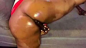 In NIGARCHRIST'S update 1514, PETAL appears on JUNE 24, 2025.