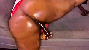 In NIGARCHRIST'S update 1514, PETAL appears on JUNE 24, 2025.