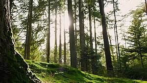 How to give your girl amazing oral sex, watch cristian cipriani demonstrate!