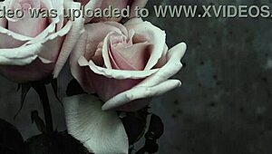 goth band mcr performs i dont love you with spanish subs