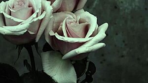 goth band mcr performs i dont love you with spanish subs