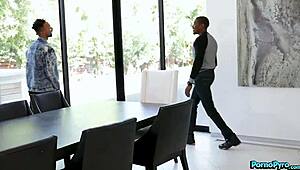 hot assistant aidra fox bangs her black boss and subordinate